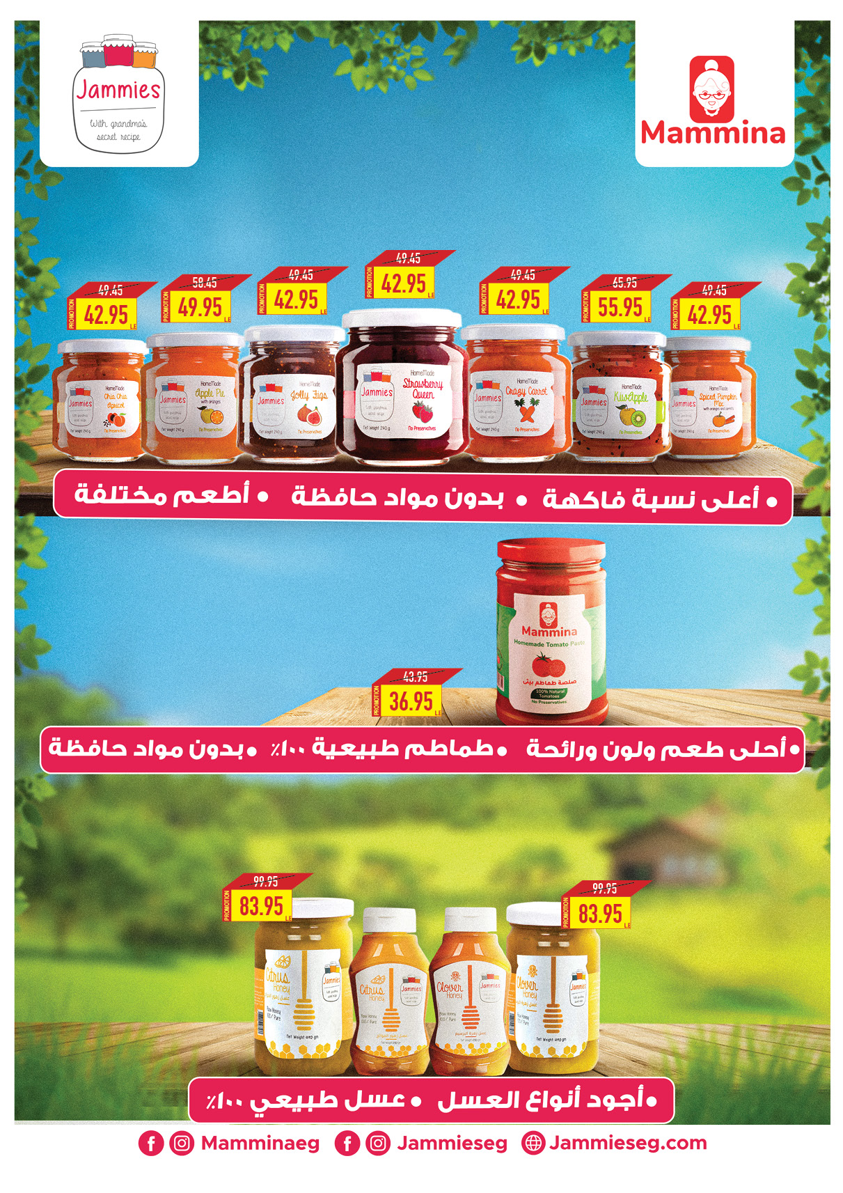 oscar offers from 23dec to 23dec 2024 عروض أوسكار من 23 ديسمبر حتى 23 ديسمبر 2024 صفحة رقم 39